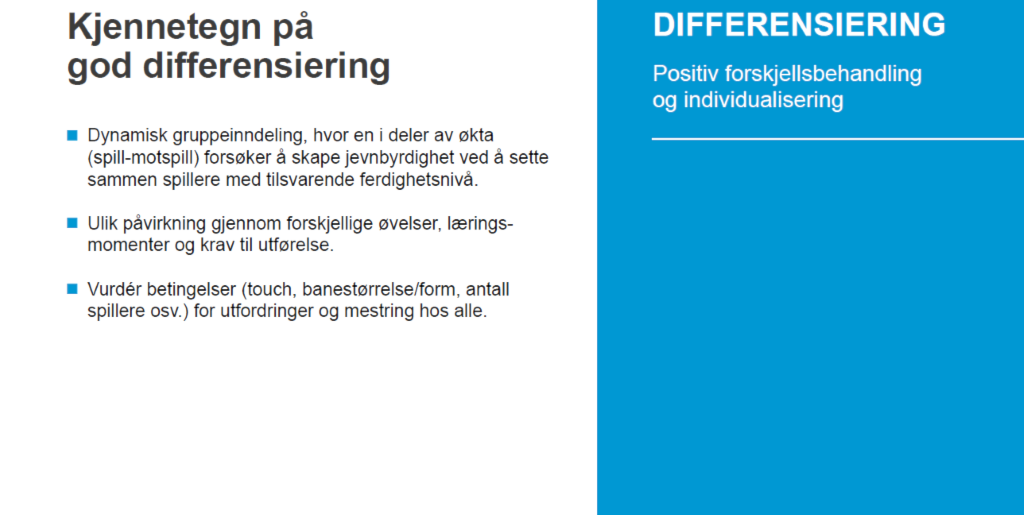 Differensieringsprinsippet