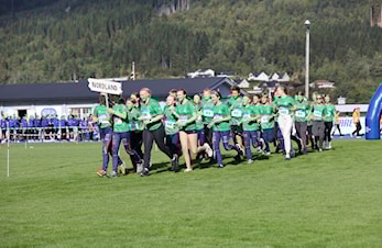 "Hjemmeseier" i Lerøylekene