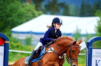 Norwegian Horse Festival 2019