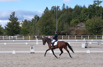 Skedsmo Rytter tatt ut til Unghest VM