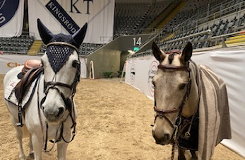 Foran og bak kulissene ved Kingsland Oslo Horse Show 2021