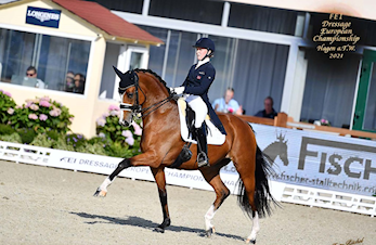 Bli med Mathilde til Danmark med hest - Insta Take Over