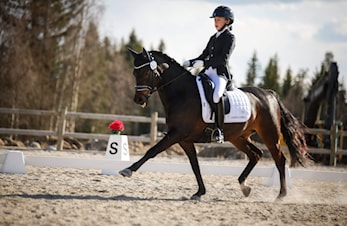 3 Skedsmo ryttere tatt ut til Nordisk mesterskap i dressur i Finland