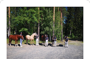 Troy oppsummerer etter debut i Nordisk i Finland
