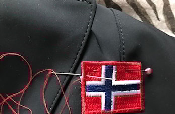 EM dressur for ponni er over - Adele, Dumle og familien oppsummerer