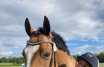 Reisebrev - Mathilde er på vei til VM i Herning!