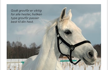 Invitasjon til Temakveld om fôring av hest
