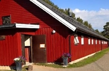 Ansvarlig og selvgående stallmedarbeider søkes til 100 % stilling