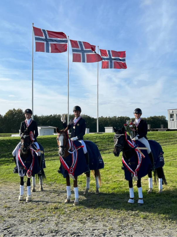 Et bilde som inneholder utendørs, himmel, gress, hest KI-generert innhold kan være feil.