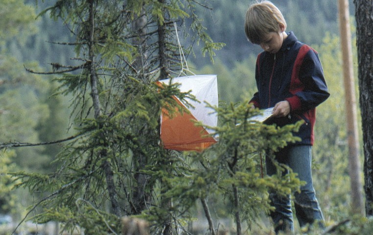 Orientering - Postjakt !!