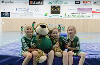 Håndballgruppa inviterer til årlig møte