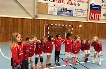 Minihåndball på turnering