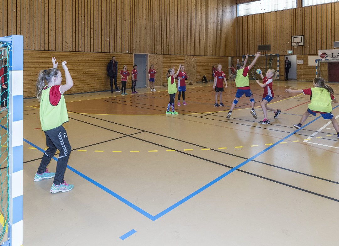 Håndballsesongen er straks i gang!