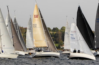 Windjammer 2021