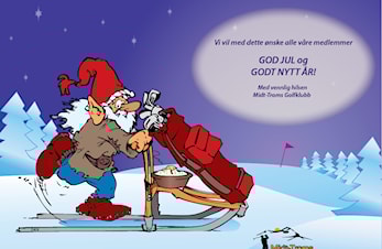 God jul og godt nytt år!