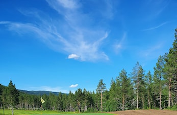 DA ER JORD TILKJØRT VED GREEN 8
