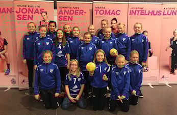 Maskotter på Vipers - Larvik kamp i Aquarama