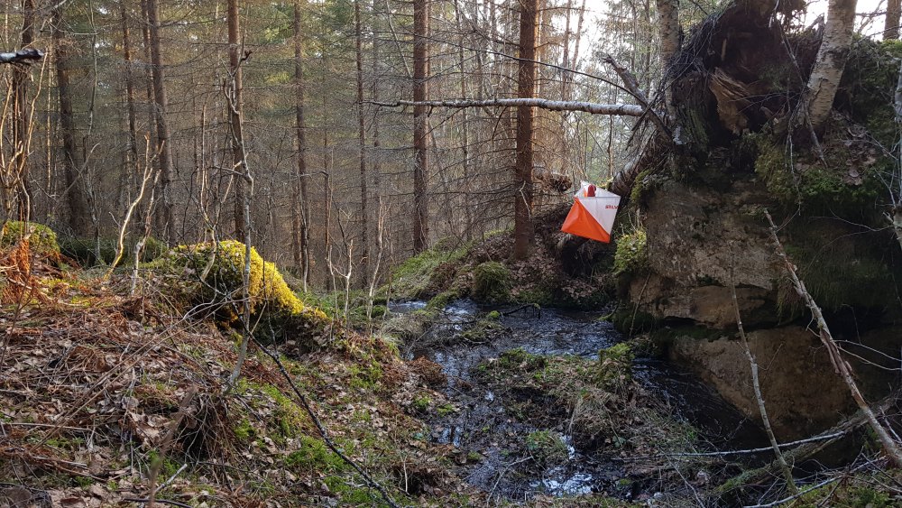 Resultat fra sesongens første treningsløp (Nerleirvollen 24. April)