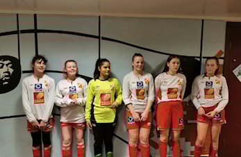 Stamnescup
