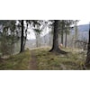 Resultater fra treningsløpet 2 Juni ved Elggravmoen