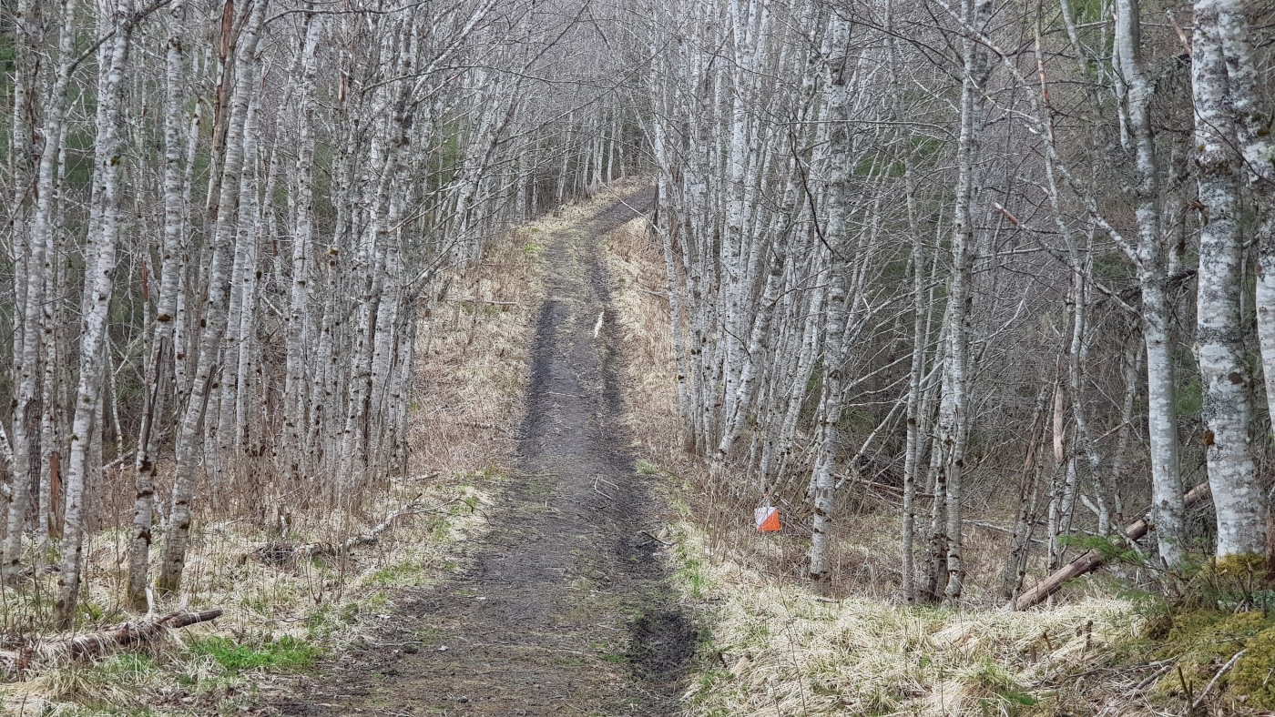 Resultater fra treningsløpet 16 Juni ved Røsså