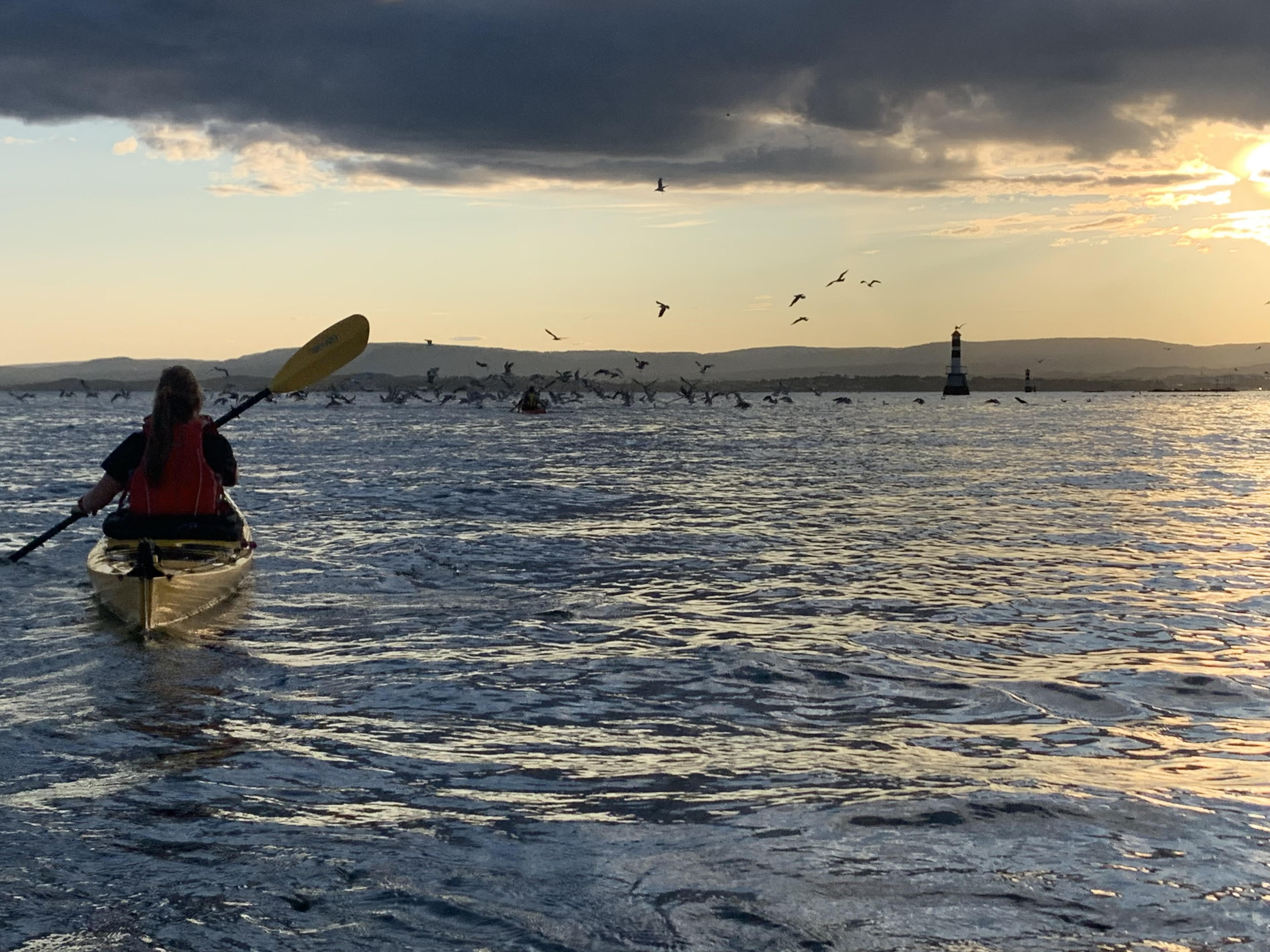 Et lite kinderegg lørdag 15. november?