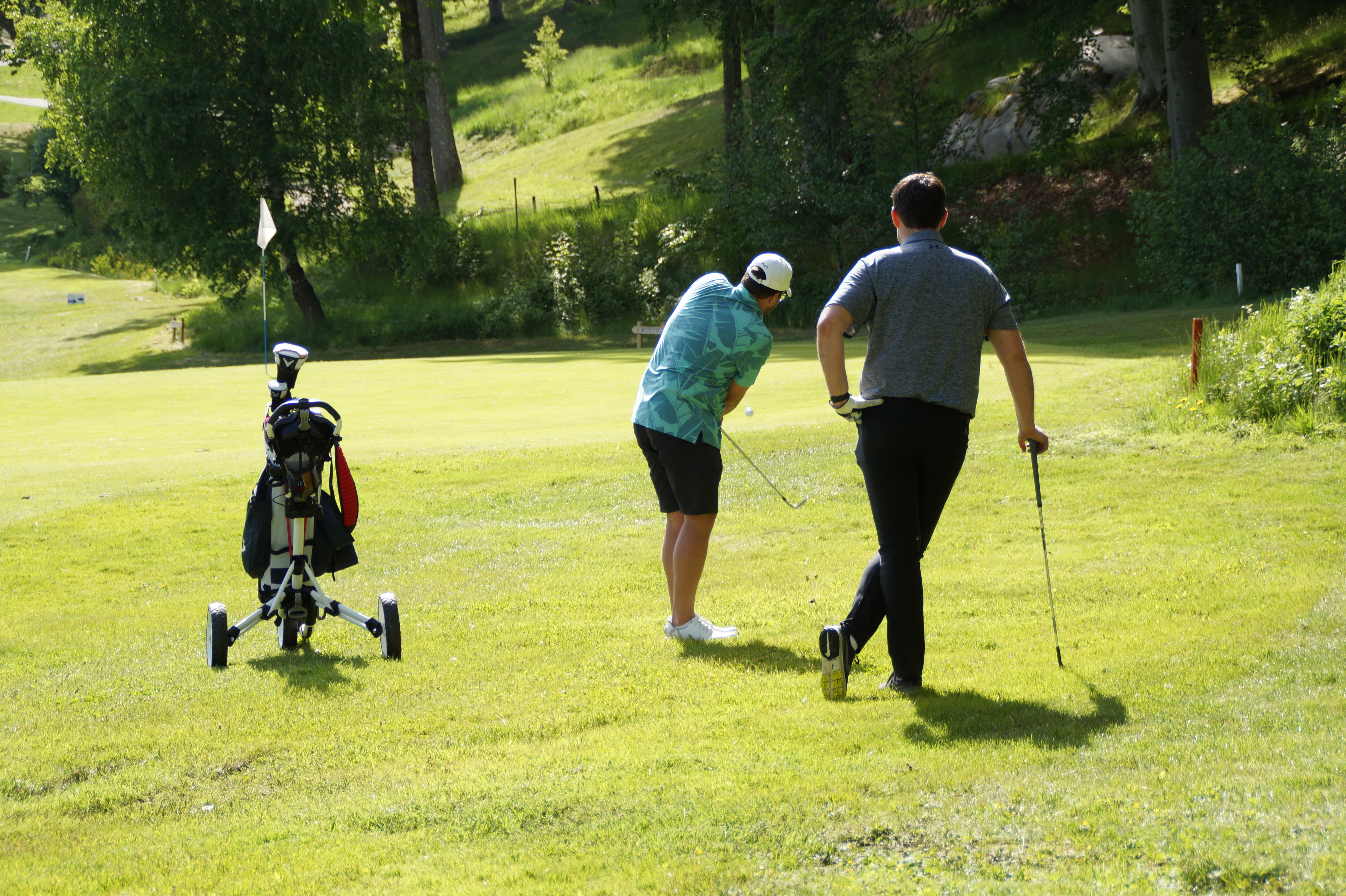 Image for Golfserier 2026