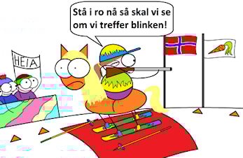 Romjulstreffen 2018 Midtstranda Skytterhall