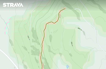Motbakkeløp til Jordbærkirka - Hamarkarusellen