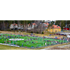 MK Regionstrening 2025 – på EH-banen!