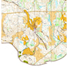 Treningsløp 20. juni 2025