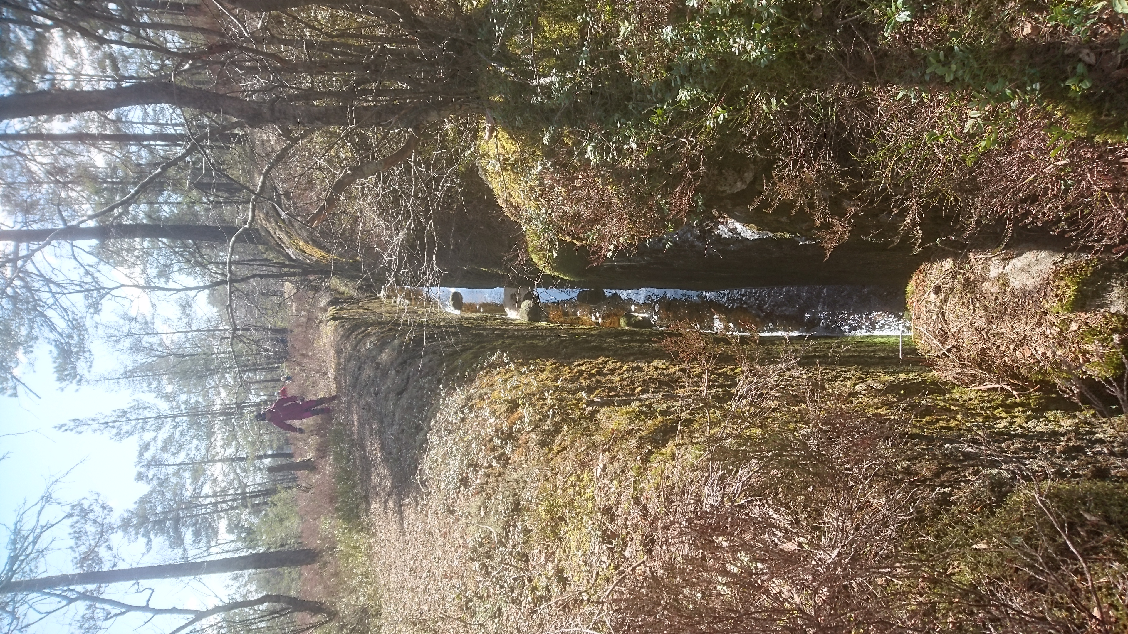 10 Toppers har vært en veldig populær aktivitet