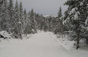 Informasjon om hva som skjer denne uka, uke 47