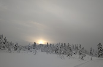 God Jul alle skivenner