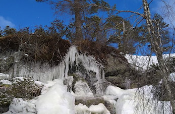 Otra IL Ski ønsker alle ett godt Nytt År.