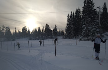Sonesamling i langrenn lørdag 14.des på Høgås