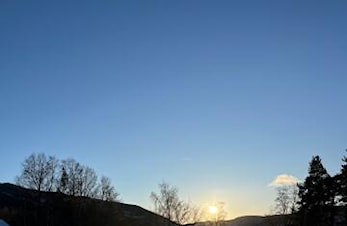 Vinterferie uke 8 - Ikke fellestrening