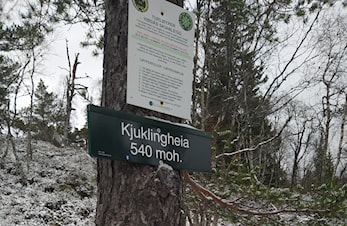 Trenings uke 11 - Kjuklingheia rundt