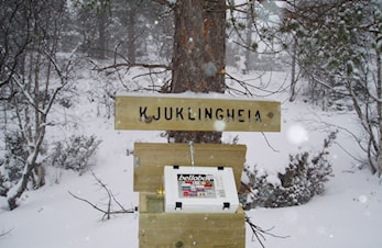 Vinnere på Postkasse bøkene er trukket ut.