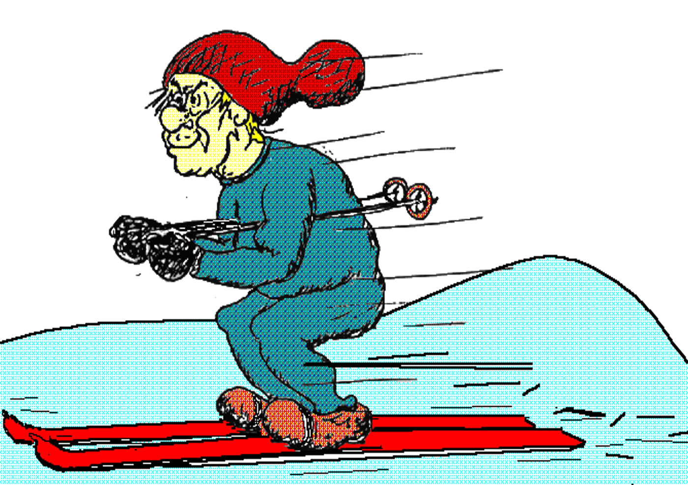 Oversikt over lokale,reginale og nasjonale konnkurranser kommende vinter