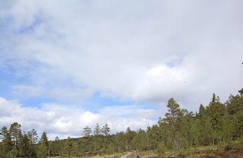 Oppussing av sommerløyper Høgås