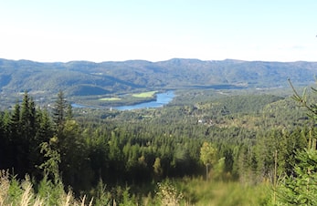 Trenings uke 40 - Høstferie