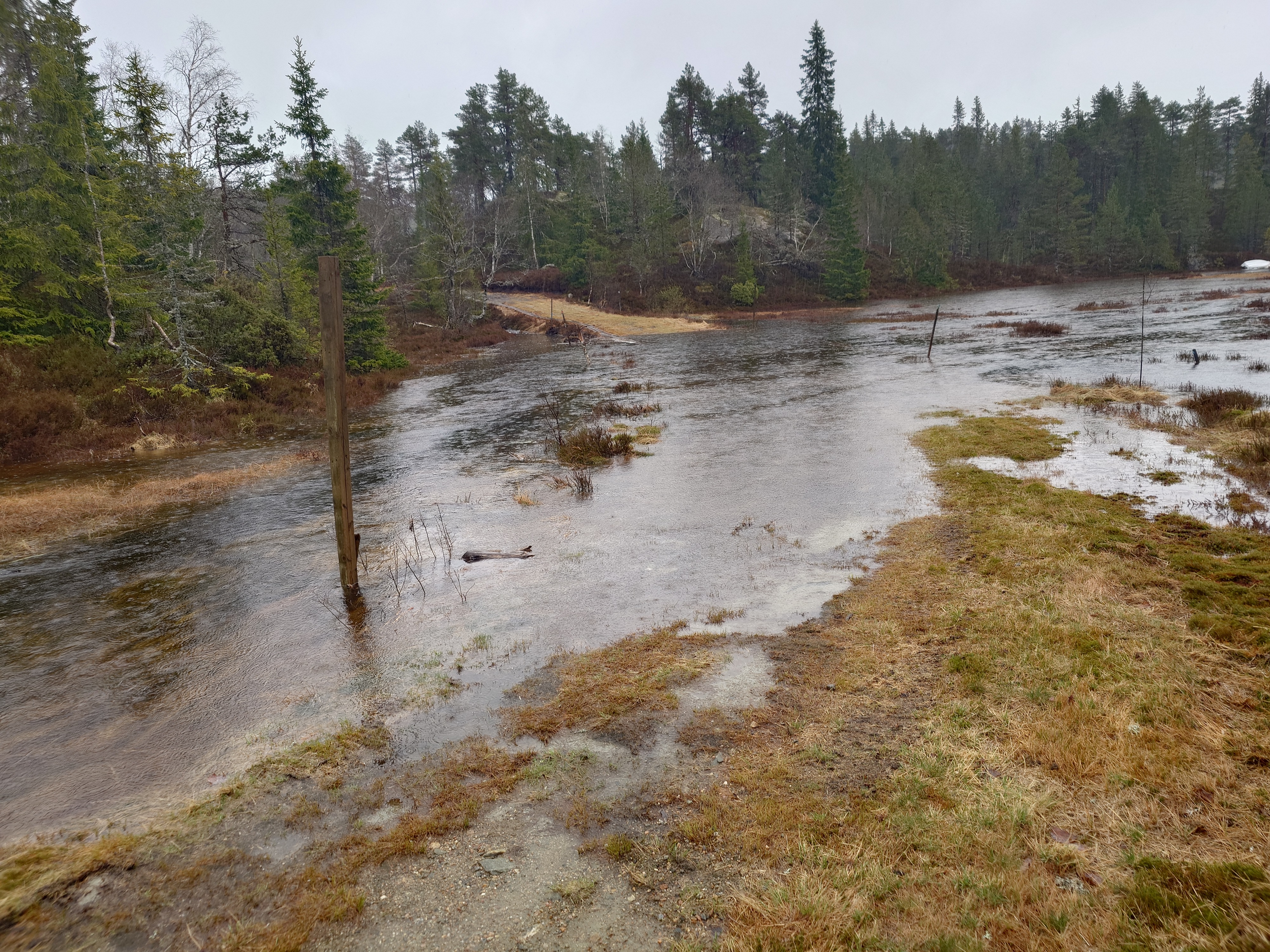 Og så kom regnet - 118 mm på to døgn