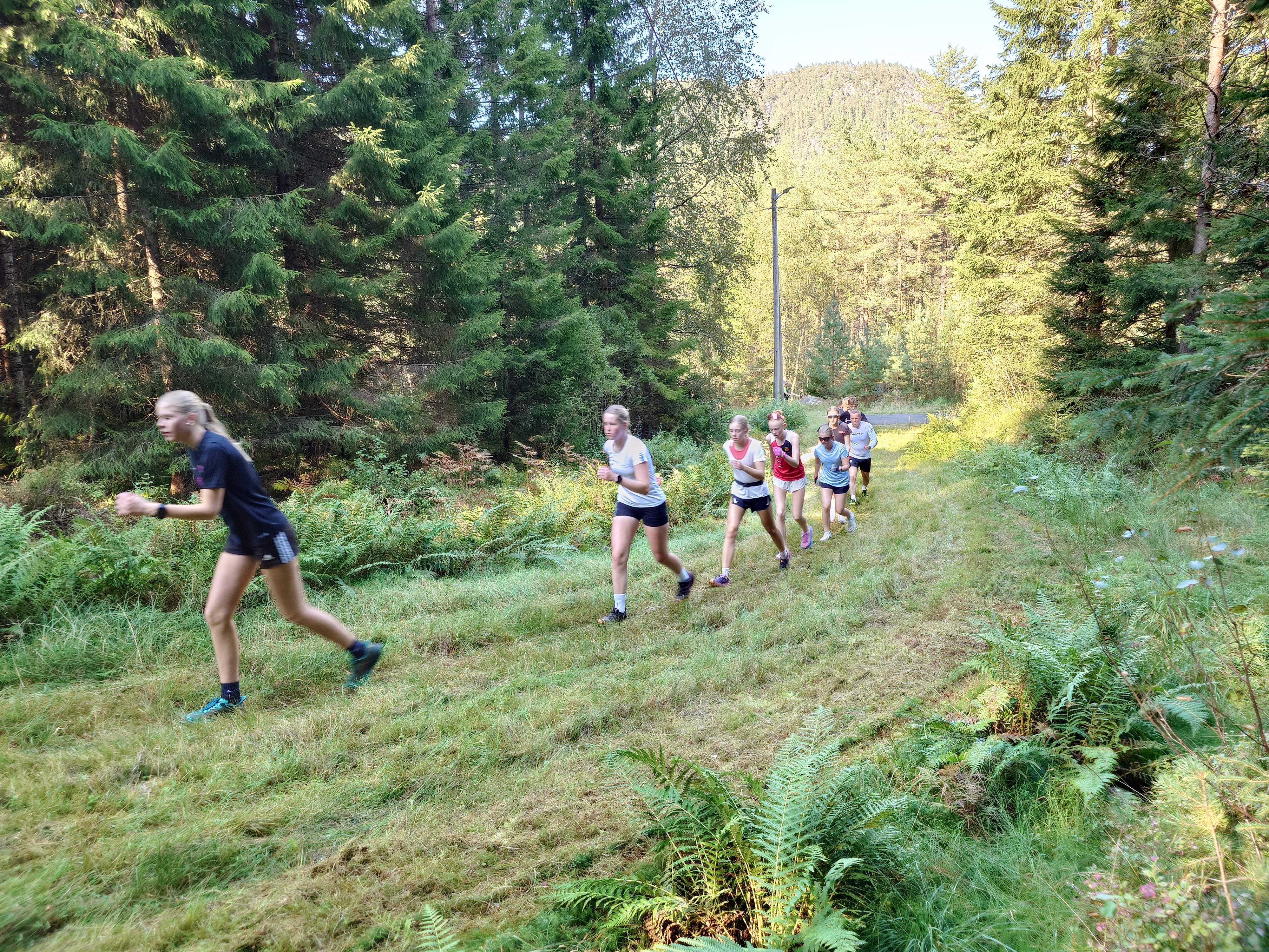 Oppstart løpstrening (intervall) tirsdag 25. august