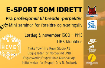 E-Sport som idrett.
