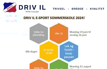 Sommerskole 2024