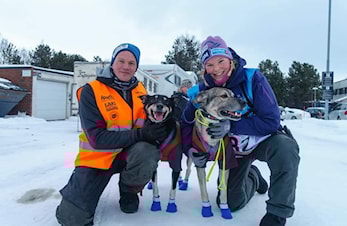 Finnmarksløpet 2019