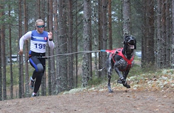 Klubbmesterskap