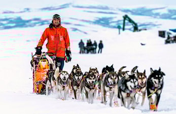Nordmann vant Iditarod