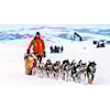 Nordmann vant Iditarod